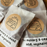 HSR Mystery Bundles | 3x Random B-Grades